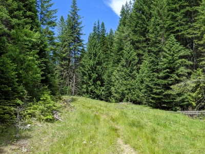 Farm & Ranch Land in Kamiah, Idaho, Timbered Hunting Land - image 32