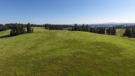 Farm & Ranch Land in Kamiah, Idaho, Timbered Hunting Land - image 2