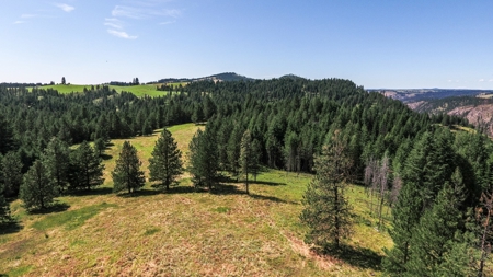 Farm & Ranch Land in Kamiah, Idaho, Timbered Hunting Land - image 19