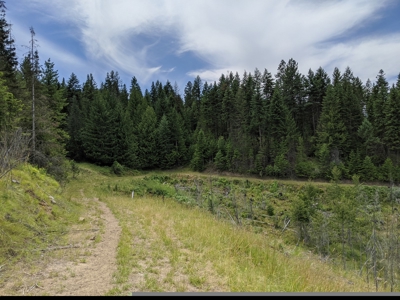 Farm & Ranch Land in Kamiah, Idaho, Timbered Hunting Land - image 39