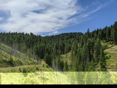 Farm & Ranch Land in Kamiah, Idaho, Timbered Hunting Land - image 28