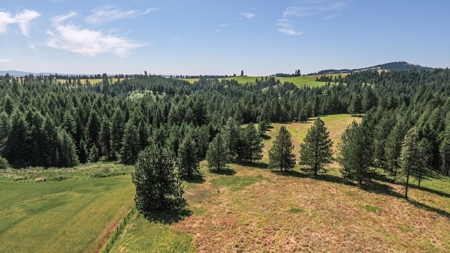 Farm & Ranch Land in Kamiah, Idaho, Timbered Hunting Land - image 18