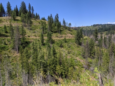 Farm & Ranch Land in Kamiah, Idaho, Timbered Hunting Land - image 30