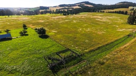Farm & Ranch Land in Kamiah, Idaho, Timbered Hunting Land - image 15