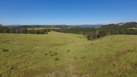 Farm & Ranch Land in Kamiah, Idaho, Timbered Hunting Land - image 12