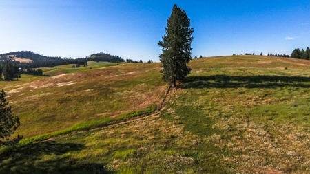 Farm & Ranch Land in Kamiah, Idaho, Timbered Hunting Land - image 13