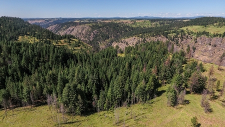 Farm & Ranch Land in Kamiah, Idaho, Timbered Hunting Land - image 21