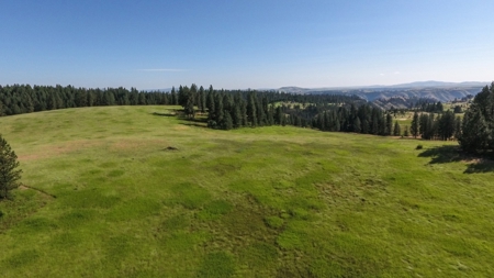 Farm & Ranch Land in Kamiah, Idaho, Timbered Hunting Land - image 3