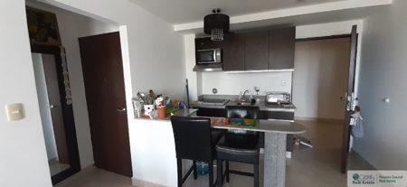 One Bedroom Apartment For Sale And Rent In Corona Beach - image 14