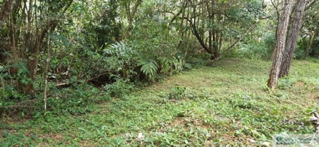 Mountain Land For Sale In Altos Del Maria Panama - image 3