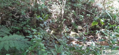 Mountain Land For Sale In Altos Del Maria Panama - image 1