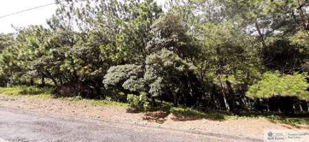 Mountain Land For Sale In Altos Del Maria Panama - image 5