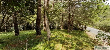 Mountain Land For Sale In Altos Del Maria Panama - image 9