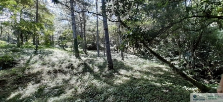 Mountain Land For Sale In Altos Del Maria Panama - image 2