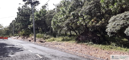 Mountain Land For Sale In Altos Del Maria Panama - image 12