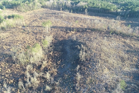 Planted Pine /w Hardwood Camp Site for Sale near Strong, AR - image 17
