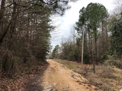 Planted Pine /w Hardwood Camp Site for Sale near Strong, AR - image 2