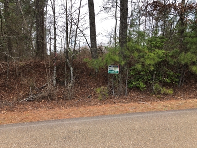 Planted Pine /w Hardwood Camp Site for Sale near Strong, AR - image 9
