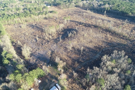 Planted Pine /w Hardwood Camp Site for Sale near Strong, AR - image 10