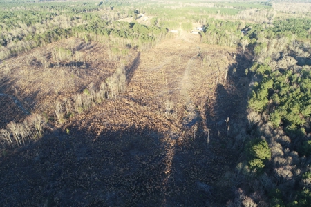 Planted Pine /w Hardwood Camp Site for Sale near Strong, AR - image 13