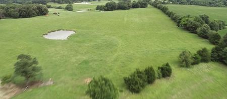 22 Acres +/- In Brownsville, TN, Haywood County, Mini Farm - image 7