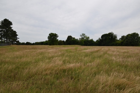 22 Acres +/- In Brownsville, TN, Haywood County, Mini Farm - image 5