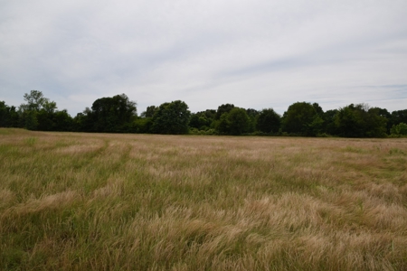 22 Acres +/- In Brownsville, TN, Haywood County, Mini Farm - image 3