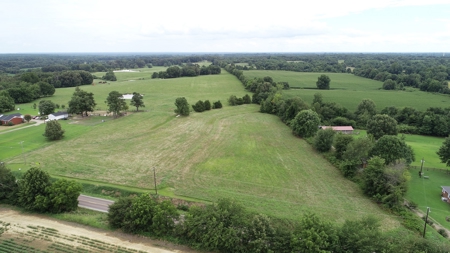 22 Acres +/- In Brownsville, TN, Haywood County, Mini Farm - image 6