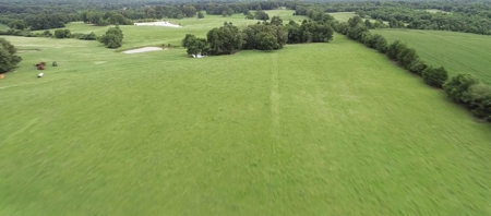22 Acres +/- In Brownsville, TN, Haywood County, Mini Farm - image 2