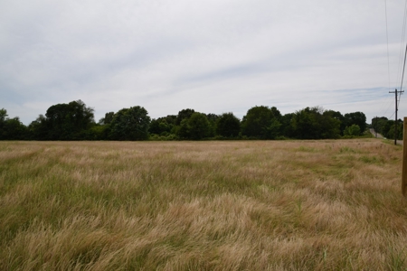 22 Acres +/- In Brownsville, TN, Haywood County, Mini Farm - image 4