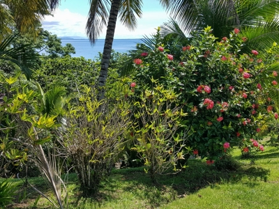 Titled Coastal Oceanview Home on Isla Cristobal Panama - image 39