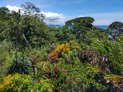 Titled Coastal Oceanview Home on Isla Cristobal Panama - image 38
