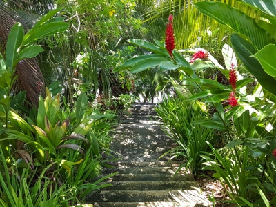Titled Coastal Oceanview Home on Isla Cristobal Panama - image 34