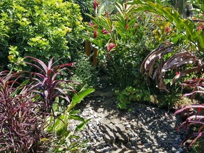 Titled Coastal Oceanview Home on Isla Cristobal Panama - image 37