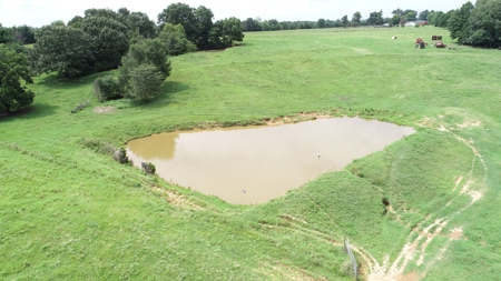 28.3 Ac +/-, Brownsville, TN, Haywood Co, Horse Arena, Ponds - image 4
