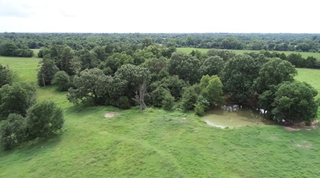 28.3 Ac +/-, Brownsville, TN, Haywood Co, Horse Arena, Ponds - image 7
