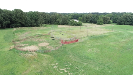 28.3 Ac +/-, Brownsville, TN, Haywood Co, Horse Arena, Ponds - image 3