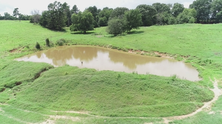 28.3 Ac +/-, Brownsville, TN, Haywood Co, Horse Arena, Ponds - image 5