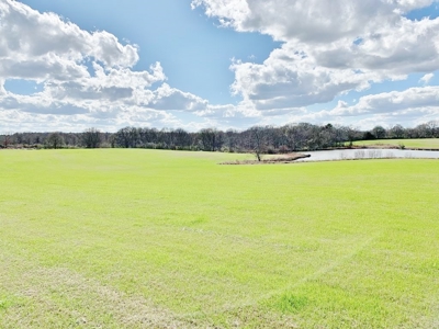 270 Acres Hunting Land for Sale, Lake, Pasture, Amite Co, MS - image 19