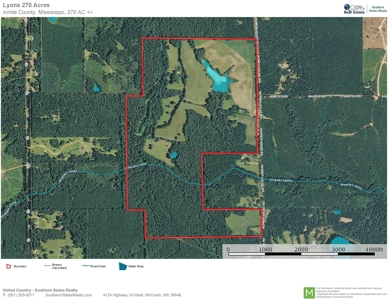 270 Acres Hunting Land for Sale, Lake, Pasture, Amite Co, MS - image 45