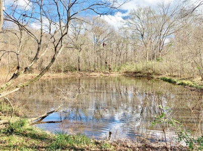 270 Acres Hunting Land for Sale, Lake, Pasture, Amite Co, MS - image 37