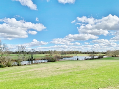 270 Acres Hunting Land for Sale, Lake, Pasture, Amite Co, MS - image 24