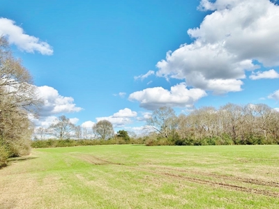 270 Acres Hunting Land for Sale, Lake, Pasture, Amite Co, MS - image 33