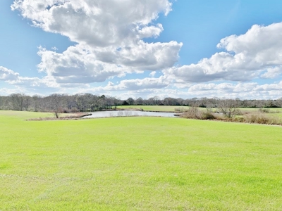 270 Acres Hunting Land for Sale, Lake, Pasture, Amite Co, MS - image 16