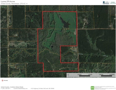 270 Acres Hunting Land for Sale, Lake, Pasture, Amite Co, MS - image 44