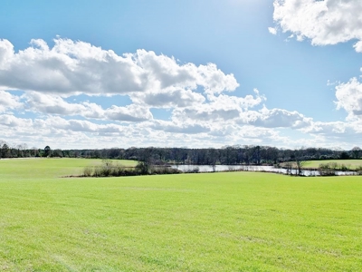 270 Acres Hunting Land for Sale, Lake, Pasture, Amite Co, MS - image 20