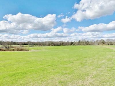 270 Acres Hunting Land for Sale, Lake, Pasture, Amite Co, MS - image 18