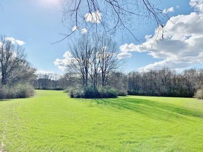 270 Acres Hunting Land for Sale, Lake, Pasture, Amite Co, MS - image 29