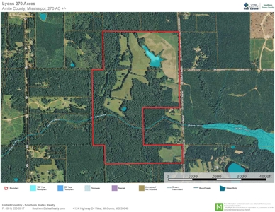 270 Acres Hunting Land for Sale, Lake, Pasture, Amite Co, MS - image 46