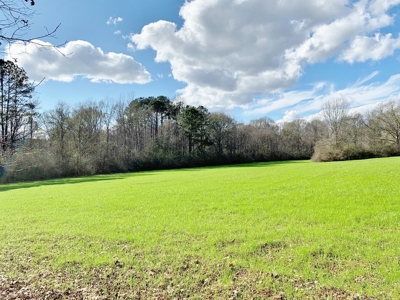270 Acres Hunting Land for Sale, Lake, Pasture, Amite Co, MS - image 36